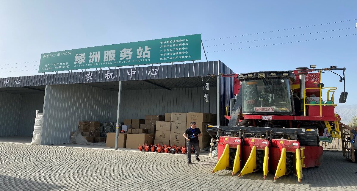 Xinjiang's Technological Leap Through Cotton Farming 9 resized Oasis Farm