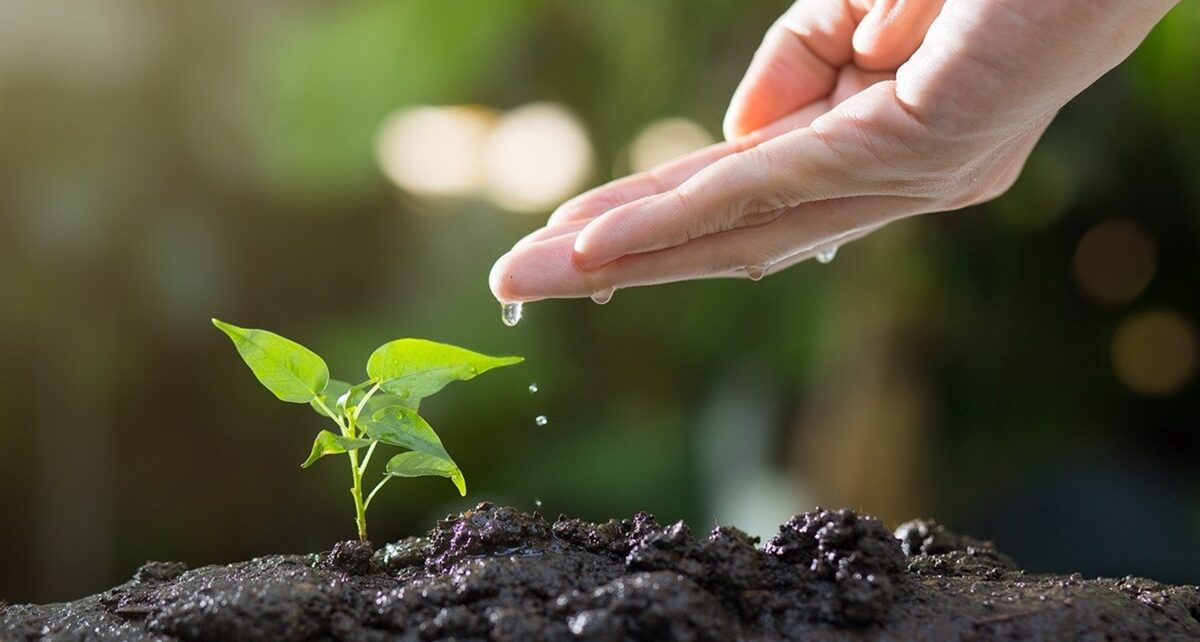 soil 8080788 1280
