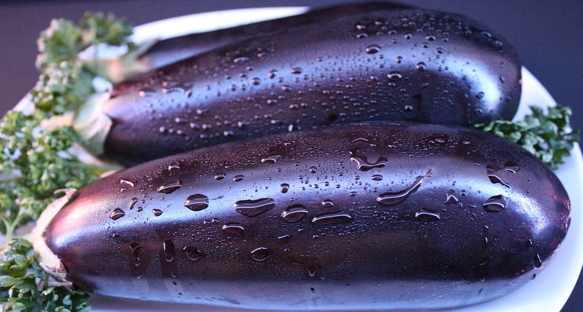 The Quest for the Mythical Eggplant: Navigating the Wild World of Online Dating 634 vegetables 4752784 1280