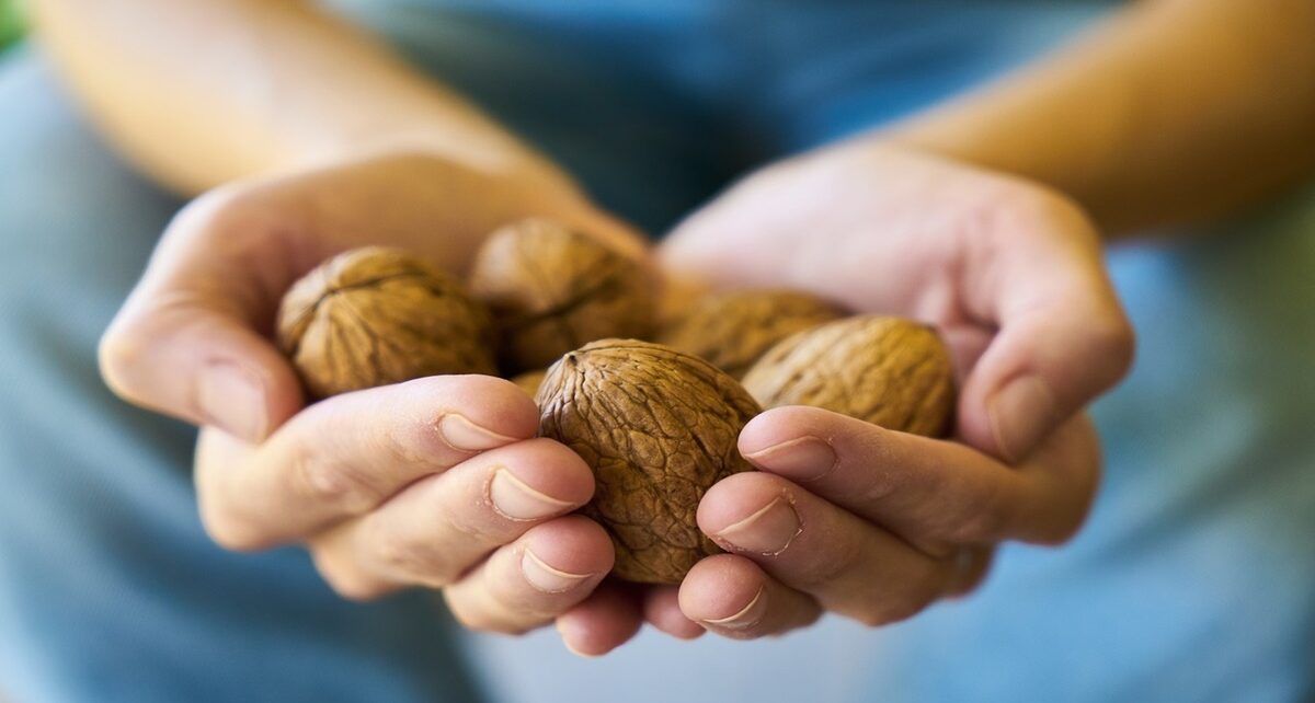 walnut 3658645 1280