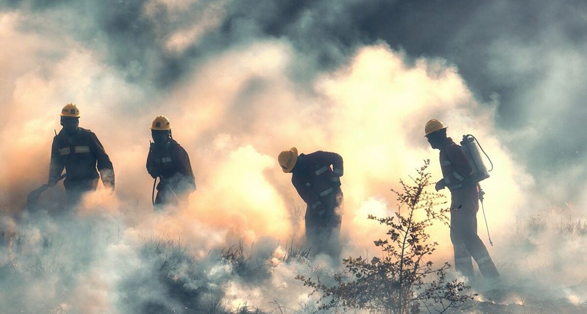 Alarming Wildfire Season Engulfs New Mexico Amid Record-Breaking Heat Wave 1049 firemen 7692839 1280