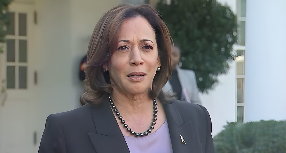 Vice President Harris: The Democrats' Key to Securing Michigan in 2024 826 Harris Cover 4