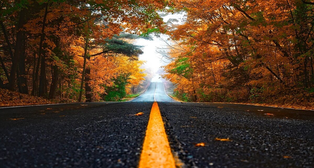 Why Canadian Roads Are in Disarray: A Comparison with Global Standards 864 autumn 1758194 1280