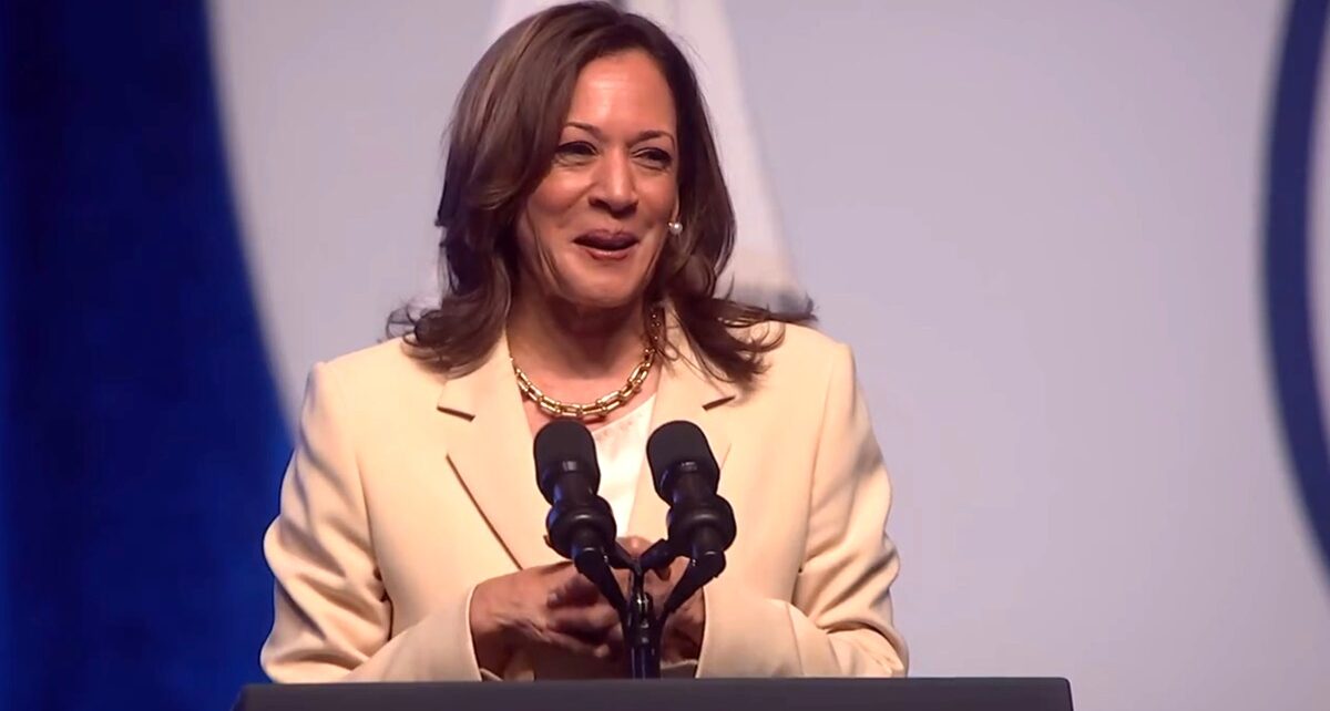 All Smiles: Harris Amasses A Staggering $200M War Chest In First Week of Fundraising 834 image 2024 07 28T125628.189