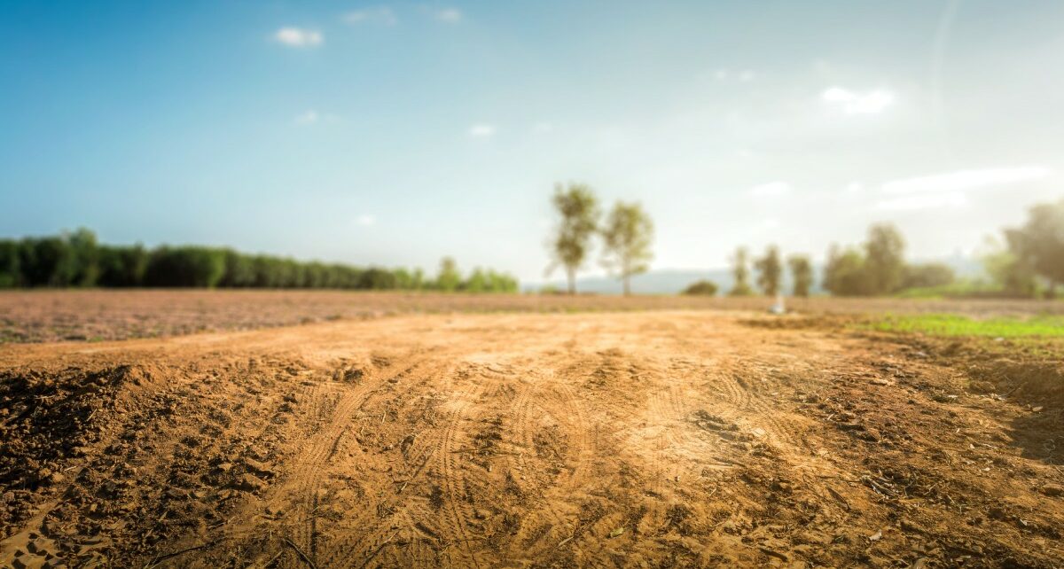 midwestlandmanagement-320389-dirttracksdevelopment-image1