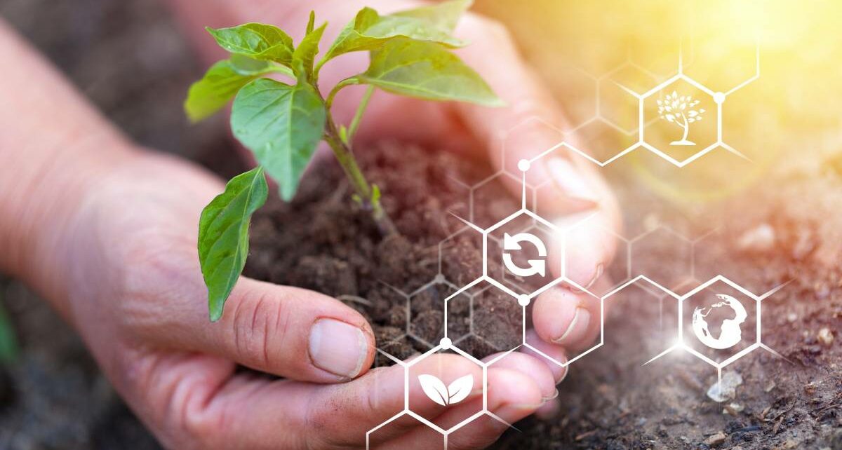 Why Chemical Engineering Is Essential to Agriculture 97 capitalresincorporation-297795-hands-cupping-soil-image1