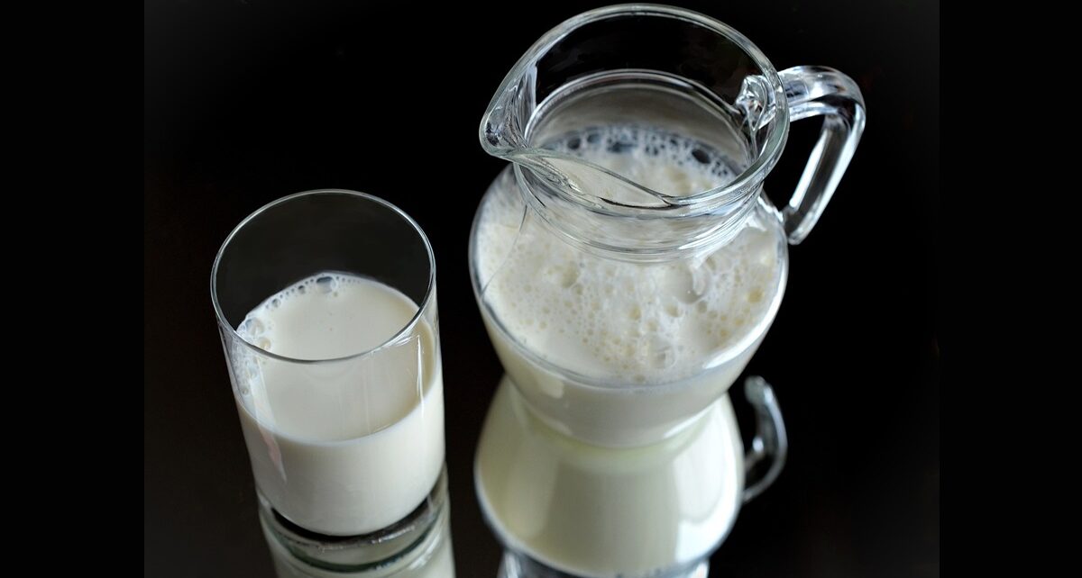 Rwanda's New Milk Powder Plant: A Game-Changer for the Dairy Industry 48 milk powder