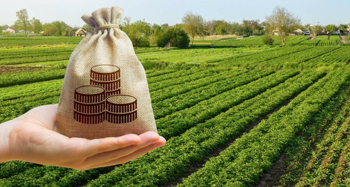 FarmPlusFinancial-307205-Hand-Pouch-Farmland-image1