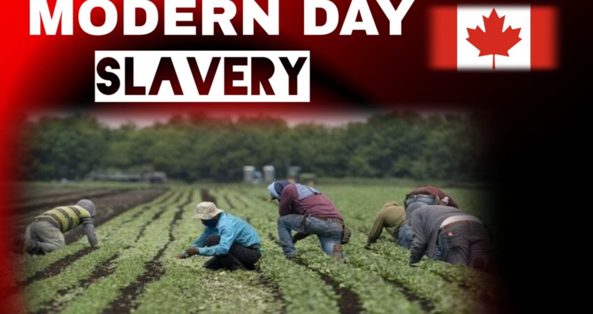 A new UN report has slammed Canada’s Temporary Foreign Worker Program as “Modern Day Slavery” 2 image_50736641 (1)
