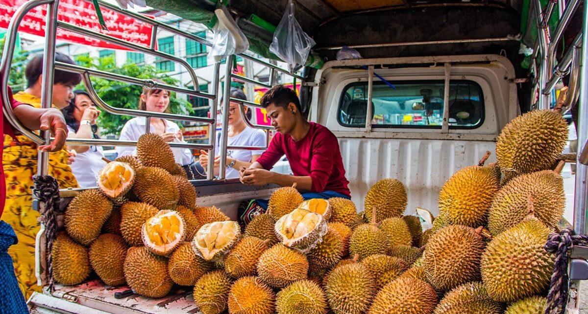 Fruit Trade Between China, ASEAN Thrives 513 yangon 5947488 1280