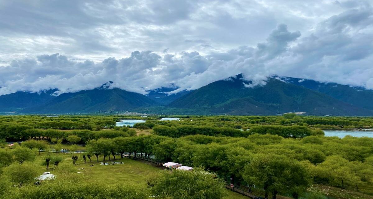 How China Restores Nature in the Rainforest Wetland of Southeastern Tibet (Xizang) 1 Header Image - Rainforest-1200x700