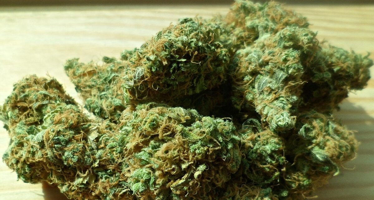 A System in Need of Reform: Addressing the Roots of Contraband Smuggling 471 green 448661 1280