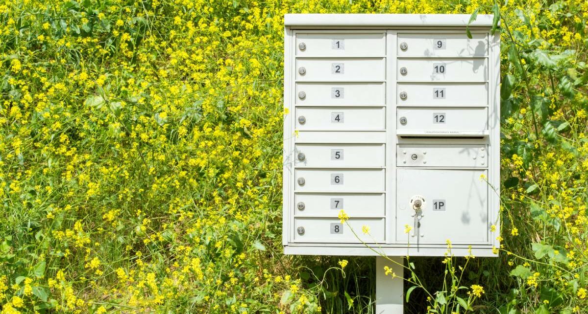 The Ultimate Guide to Maintaining Your Cluster Mailbox 1 postalsupply-325499-flowersclustermailbox-Image1