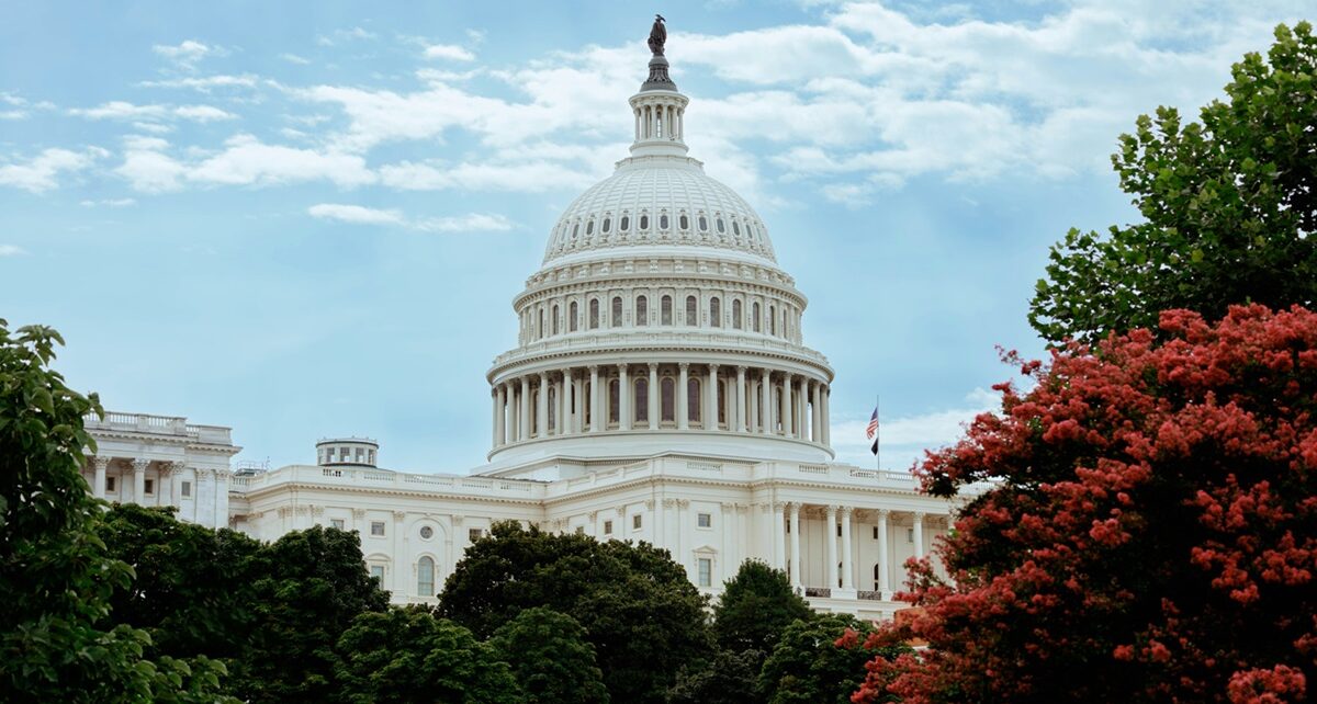 The Case for Meritocracy in Government: A Path to Efficiency and Effectiveness 185 connor gan WJLot2BVj90 unsplash