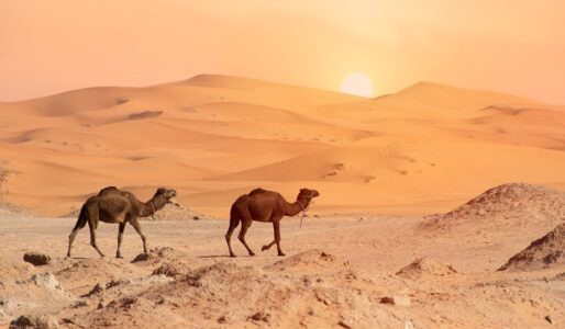 desert 4990324 1280