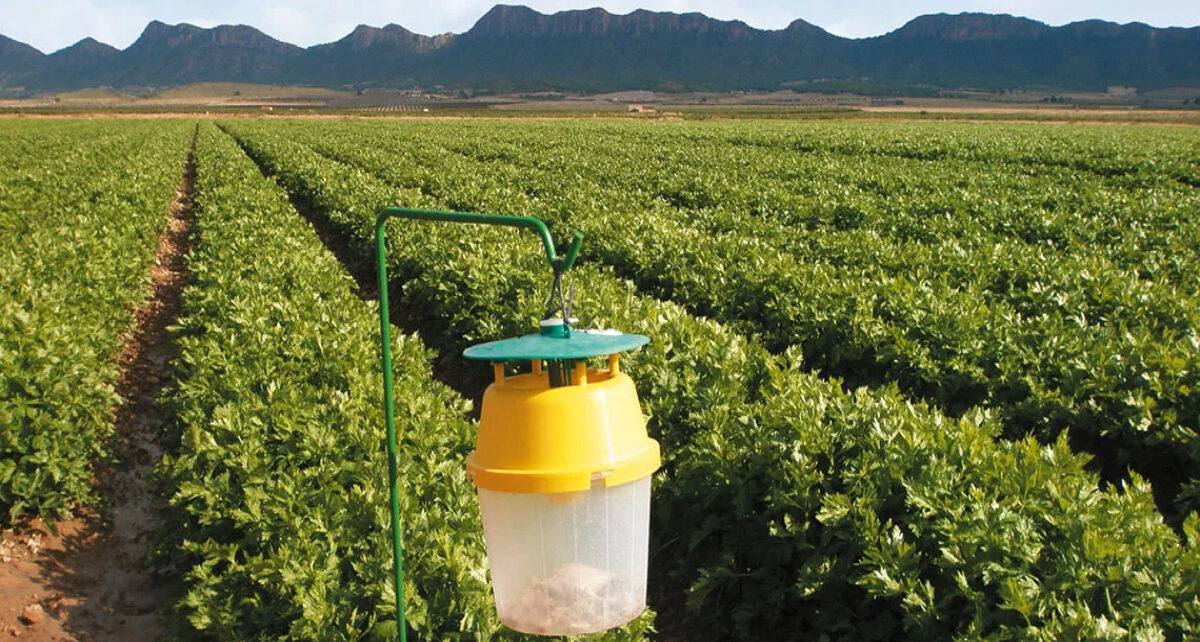 Agricultural Pheromone 1