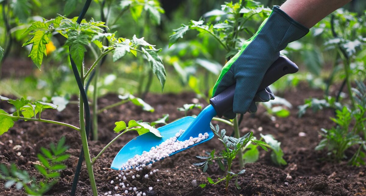The Controlled Release Fertilizers Market is estimated to be valued at USD 3.46 Bn in 2031 1 Controlled Release Fertilizers Market (1)