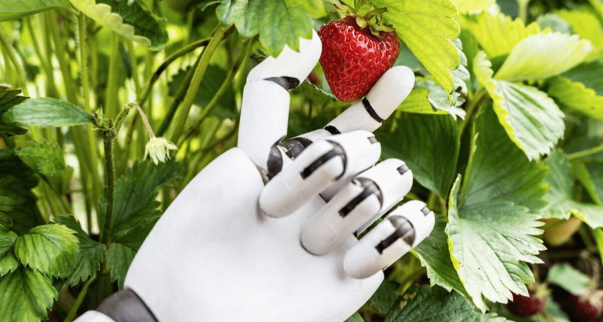 Fruit Picking Robots Market