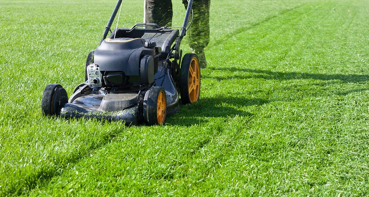 Lawn Mower Market