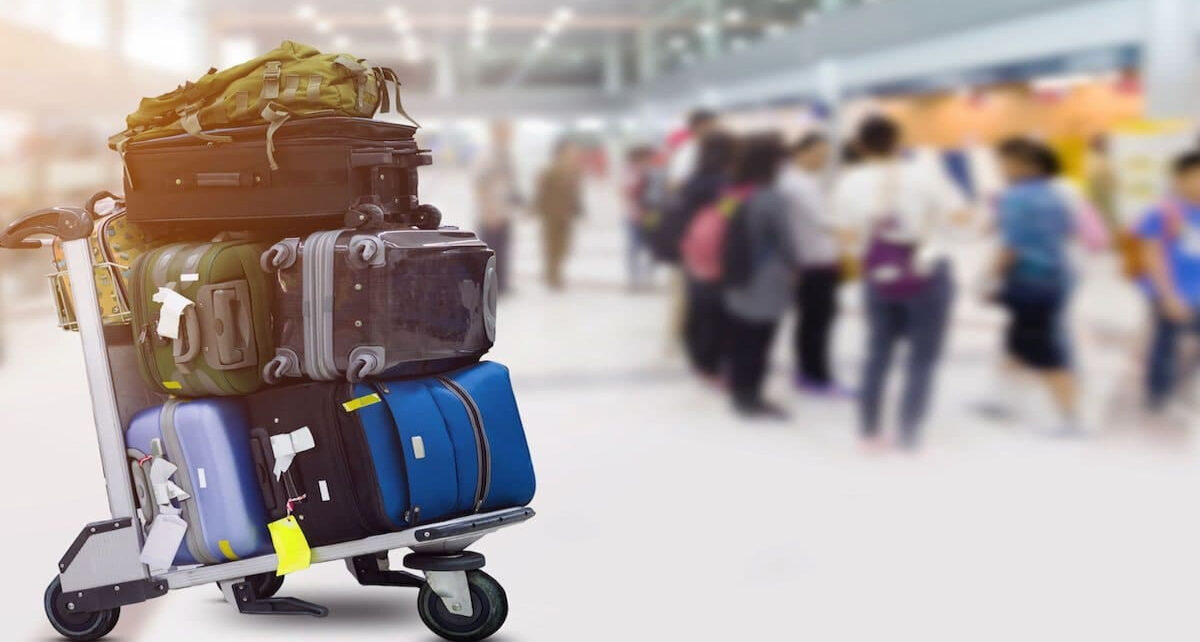 Luggage Delivery Service Market (1)