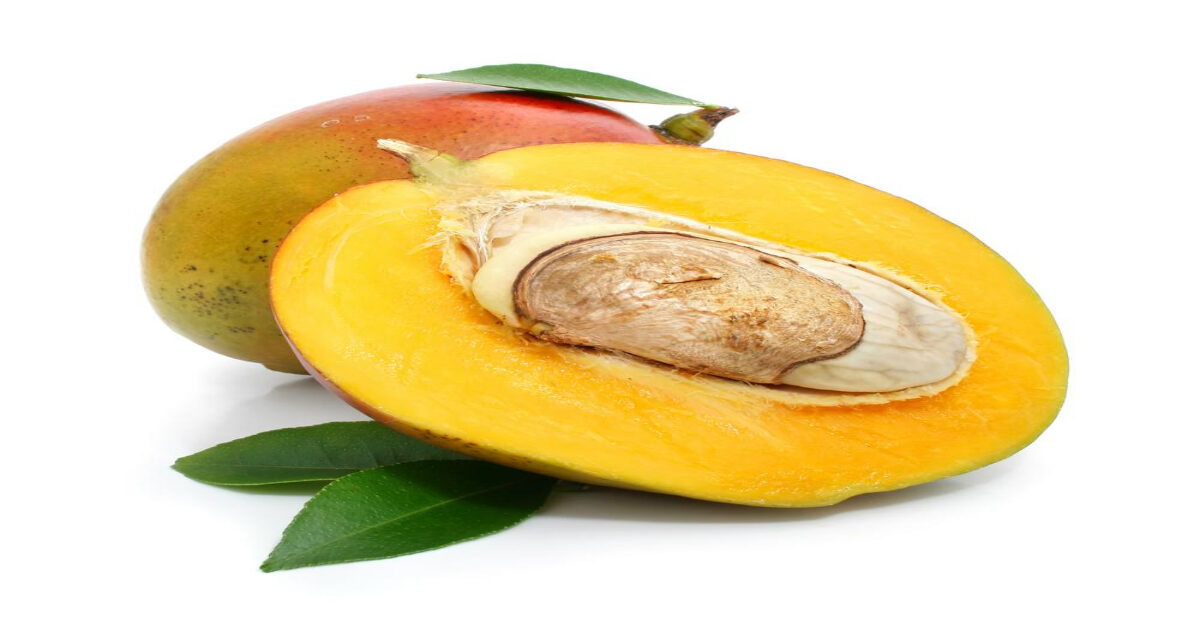 Mango Seed Oil Market