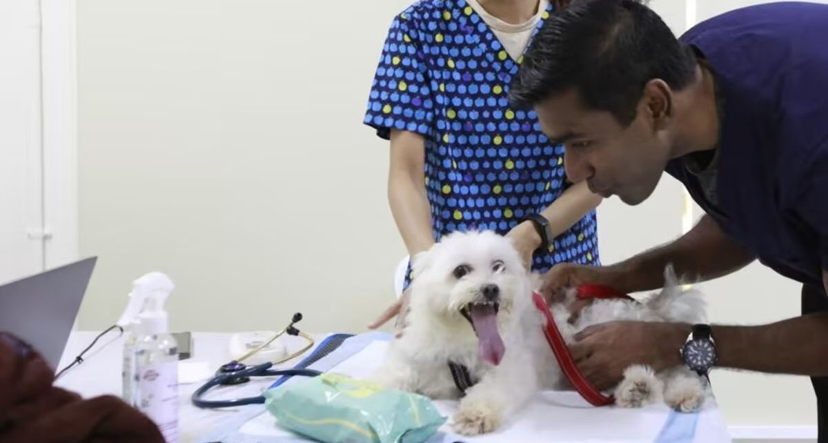 Pet Health Screening Market