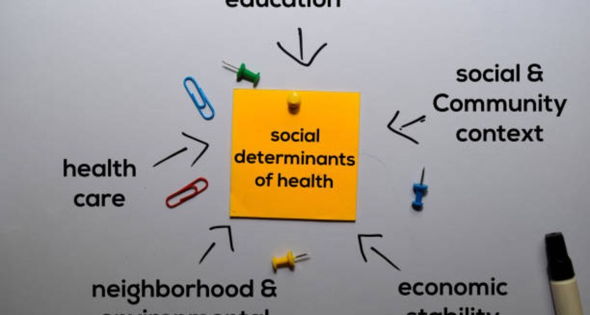 Global Social Determinants of Health Market Projected To Witness Substantial Growth, 2024-2031 1 Social Determinants of Health Market