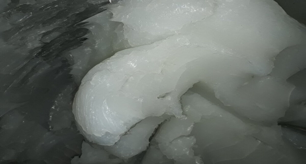 Vacuum Grease Market1