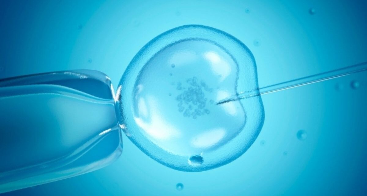 Vitrification Market Is Estimated To Witness High Growth Owing To Rapid Technological Advancements 1 Vitrification Market Final