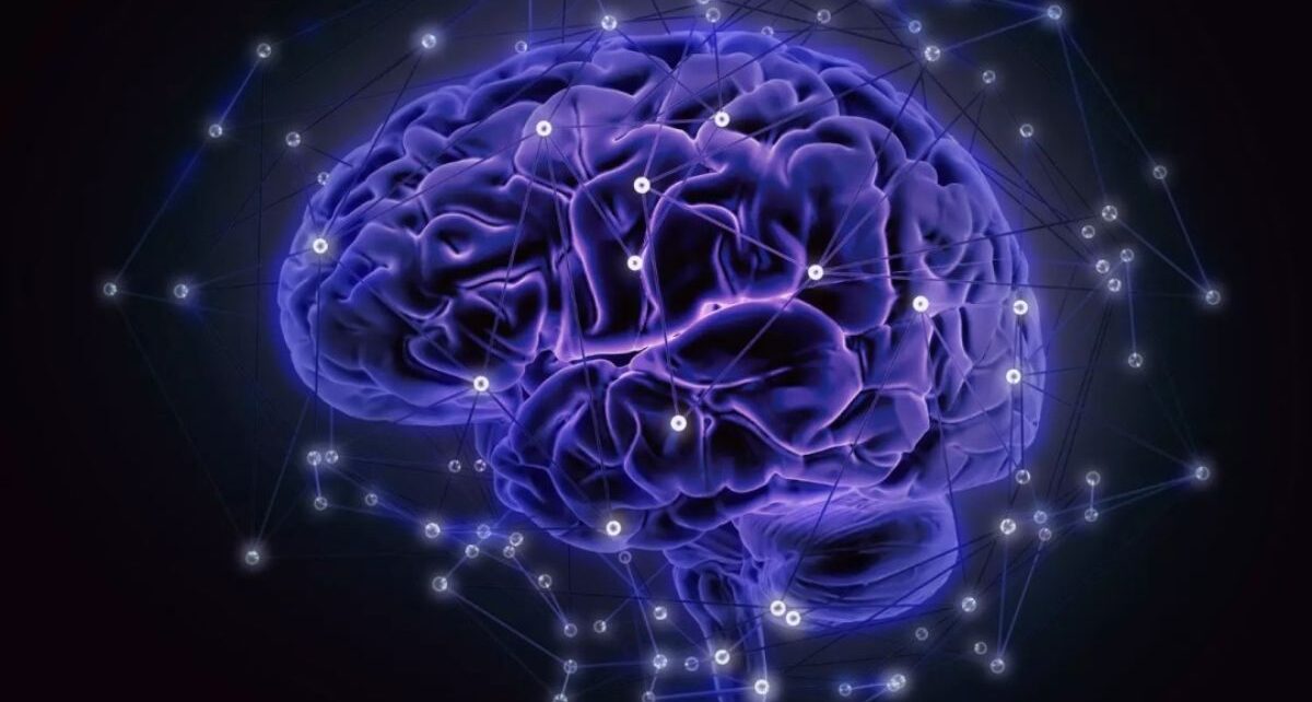 The Neuroprosthetics Market is estimated to be valued at US$ 26.12 Bn in 2030 1 Neuroprosthetics Market