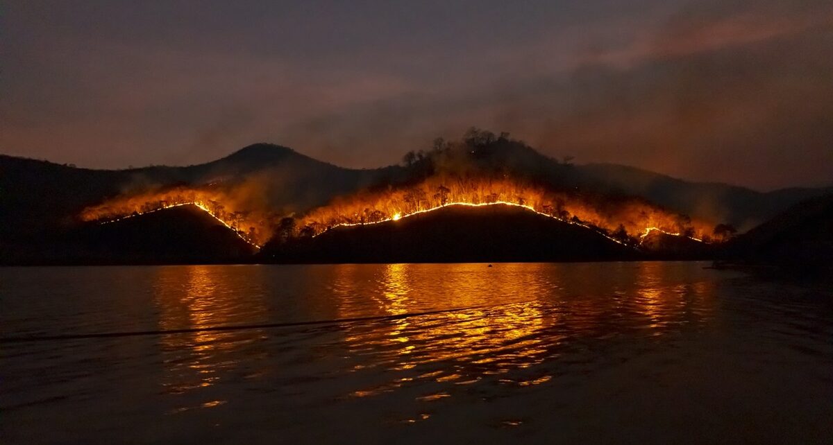 wildfire 4755030 1280