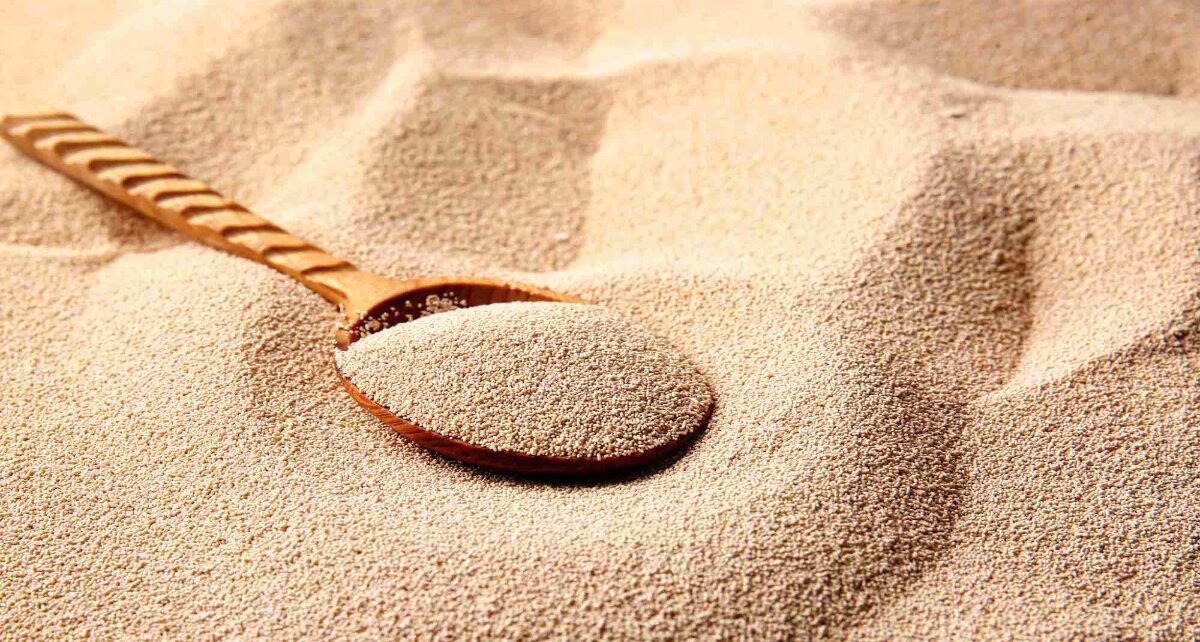 Yeast Ingredients Market Is Estimated To Witness High Growth Owing To Rising Demand From Food And Beverage Industry 1 yeast ingredients market (1)