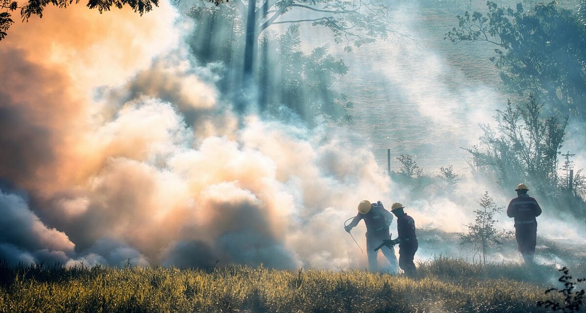 South Korea battles worst-ever wildfires as casualties rise 17 firemen 7692825 1280