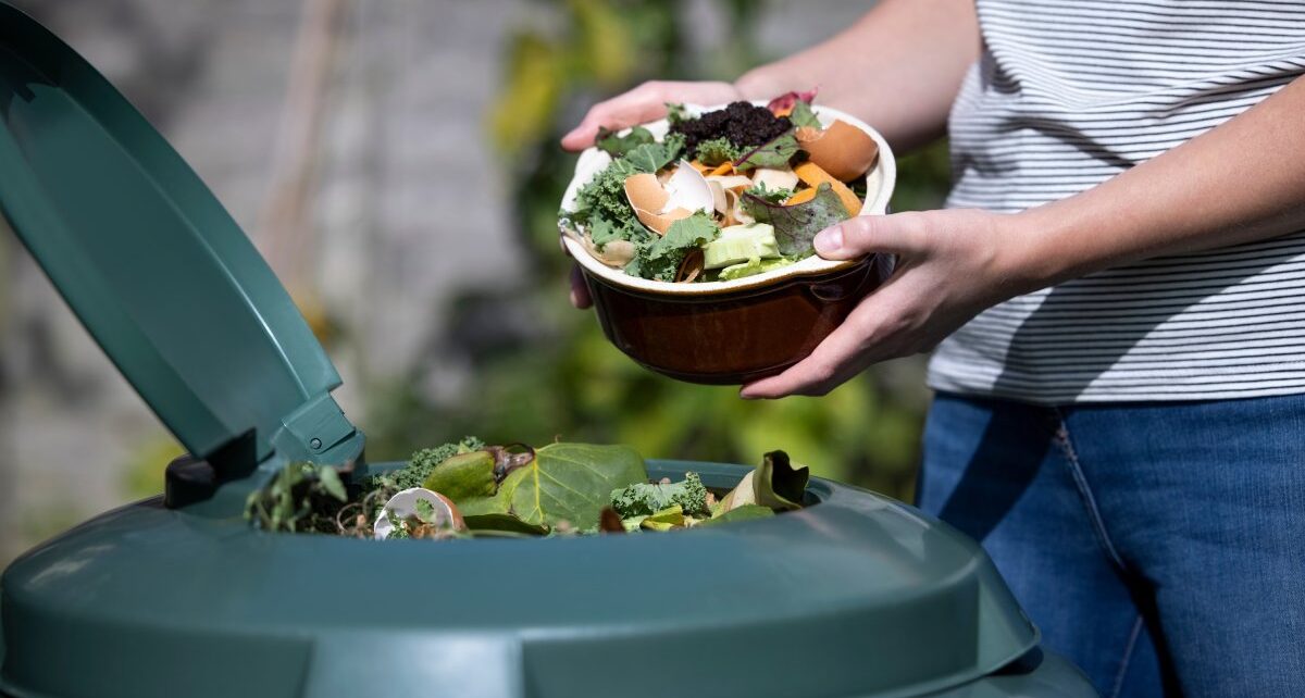 The Importance of Learning How To Reduce Food Waste 36 nationalwastepartners-355645-personwastejeans-image1
