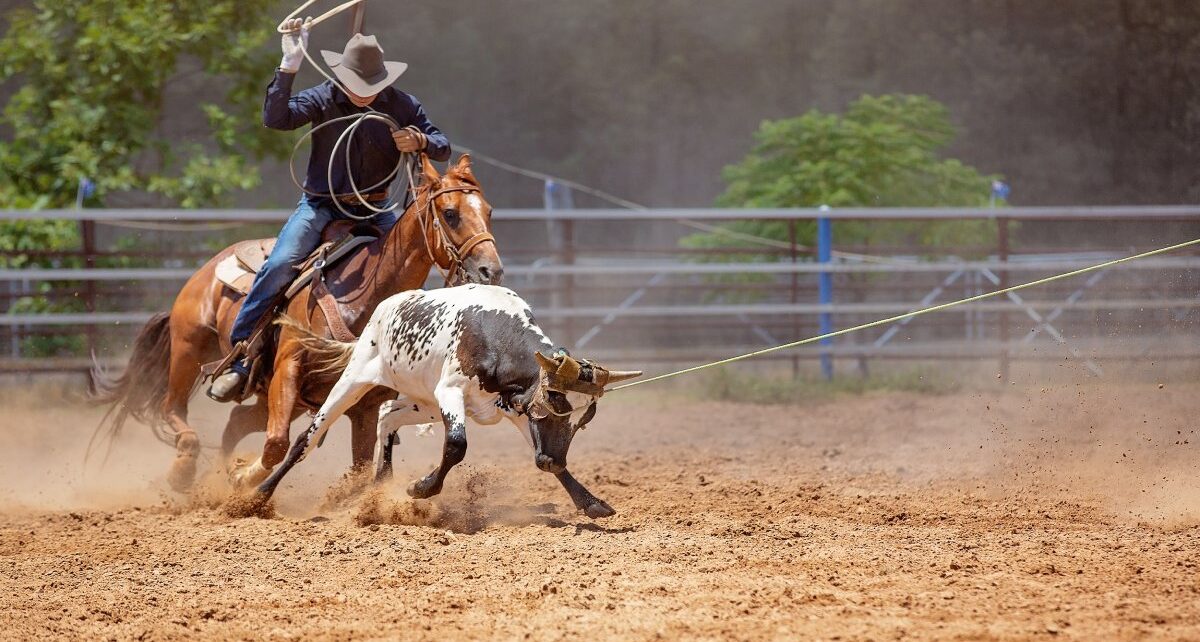 FrontierTrailer-370572-Rodeo-Roping-Calf-1