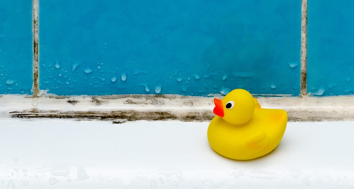 Tips To Help Prevent Mold Growth in Your Bathroom 1 Paragon Protection - 374624 - rubber-duck-mold - image1