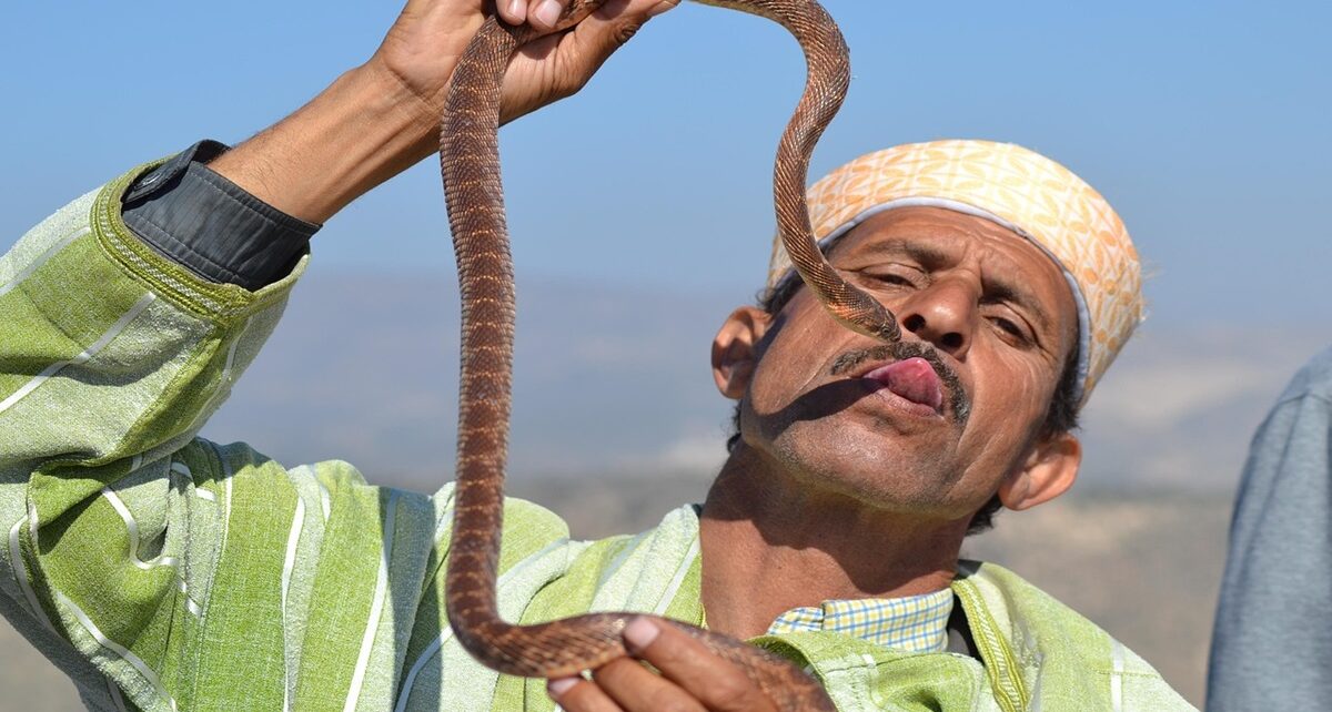 Save The Travel Agent Fees: Why DIY Morocco Is A Great Way To Experience Africa 98 morocco