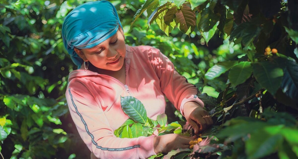 What Happens When These Workers Leave or Stop Coming? 55 berries