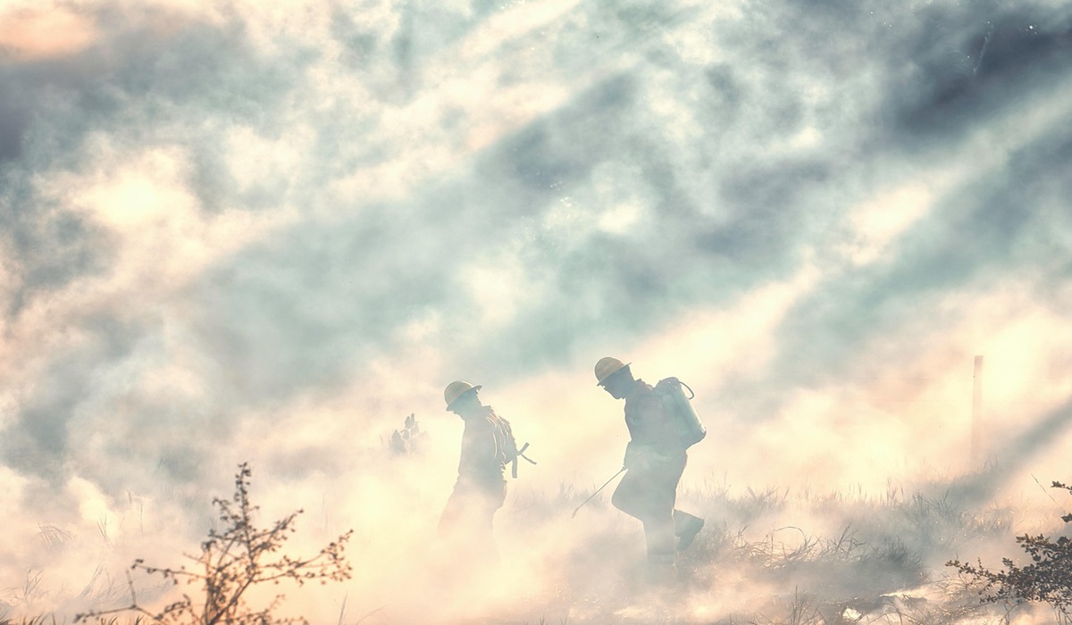 Wildfire Smoke