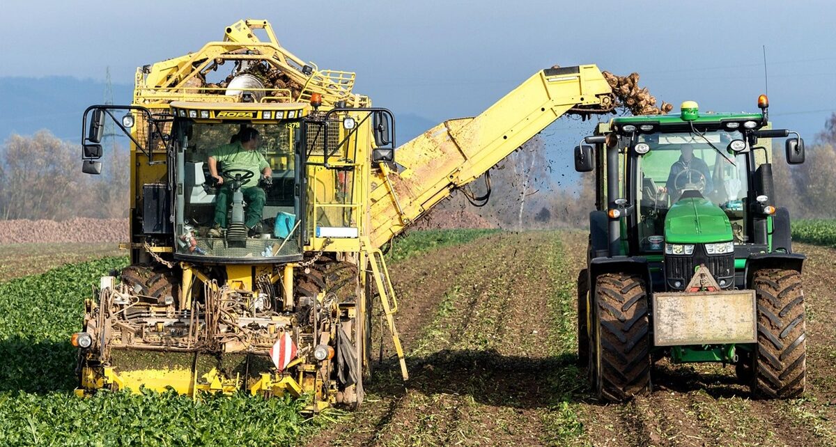 Manitoba’s Agri-Food Exports Decline in 2024, Raising Questions for the Future 65 manitoba