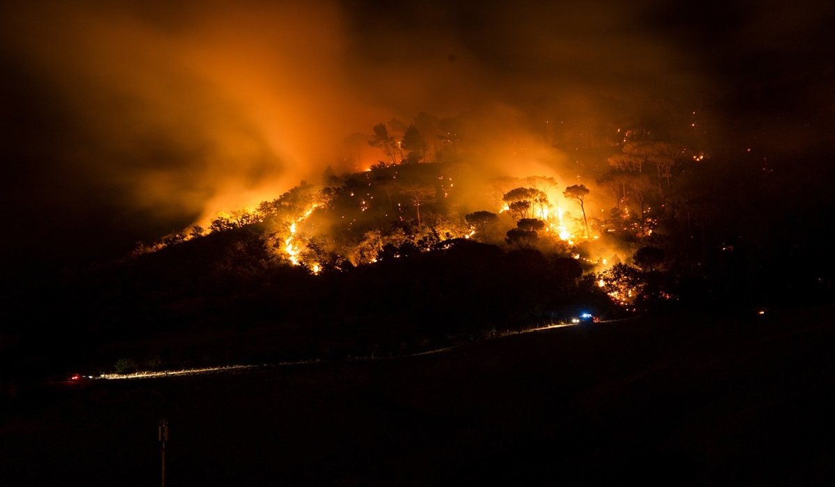wildfires
