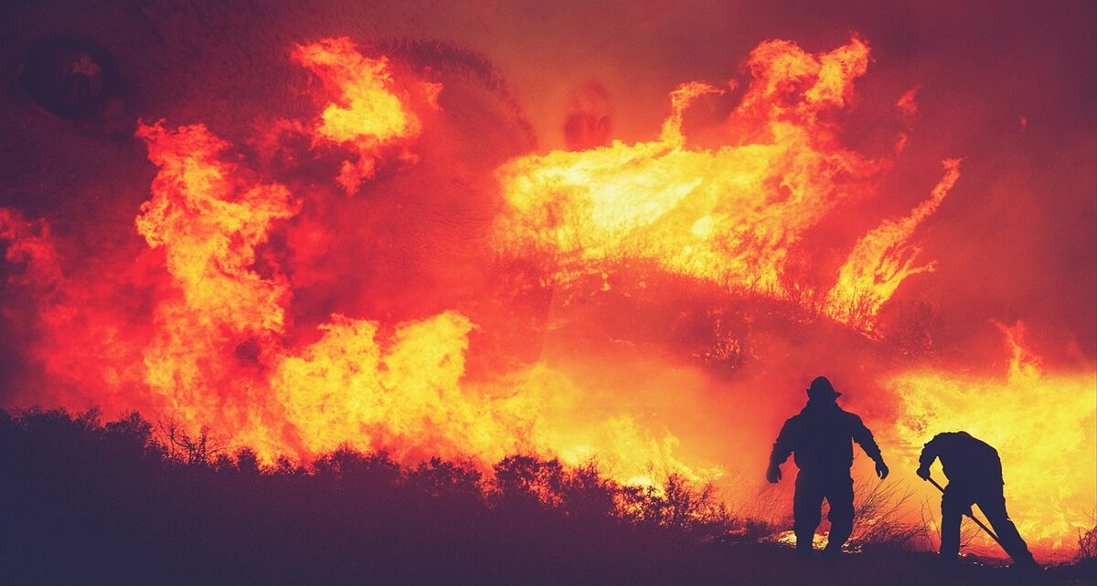 Hay River and Yukon Wildfires Push the North to the Brink 140 hary river wild fire