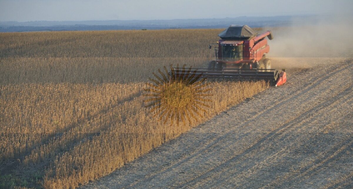 When Tariffs Backfire: U.S. Farmers Funding Argentina’s Soybean Success 59 argentina, soybeans, china, tariffs, billions in bail outs