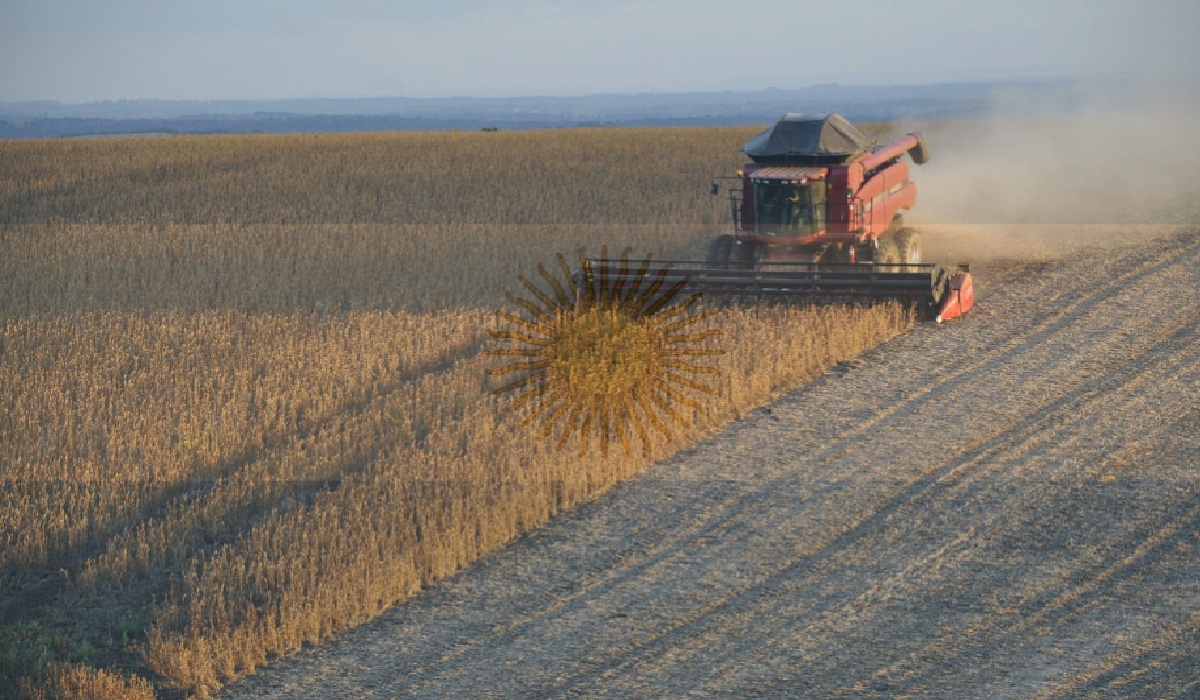 argentina, soybeans, china, tariffs, billions in bail outs
