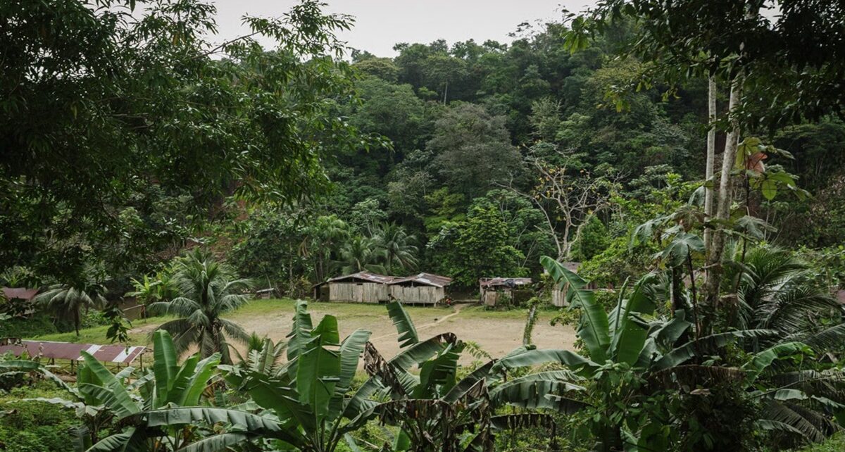 Colombia’s Broken Peace: How Ongoing Conflict Is Trapping Millions and Stalling Recovery 43 Columbia, violence