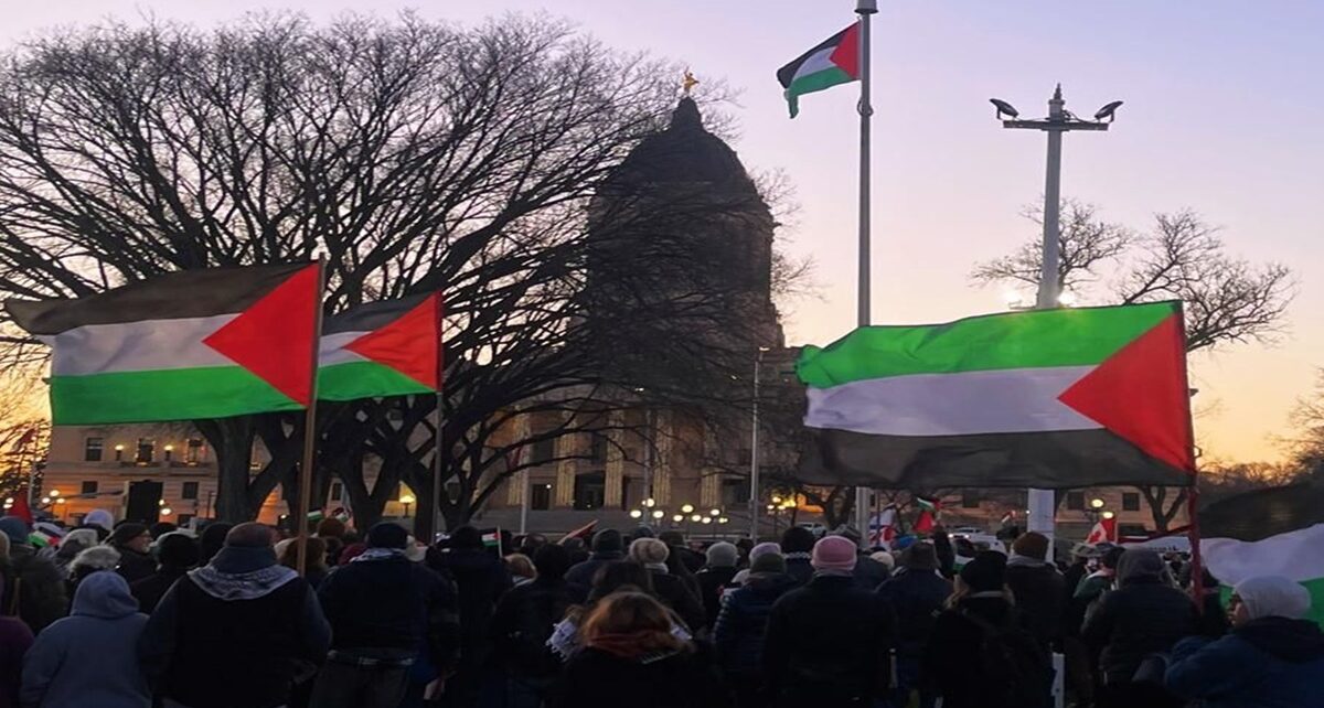 When a Flag Rises, a People Long Silenced Step Into the Light of Recognition 1 cover flag, palestine