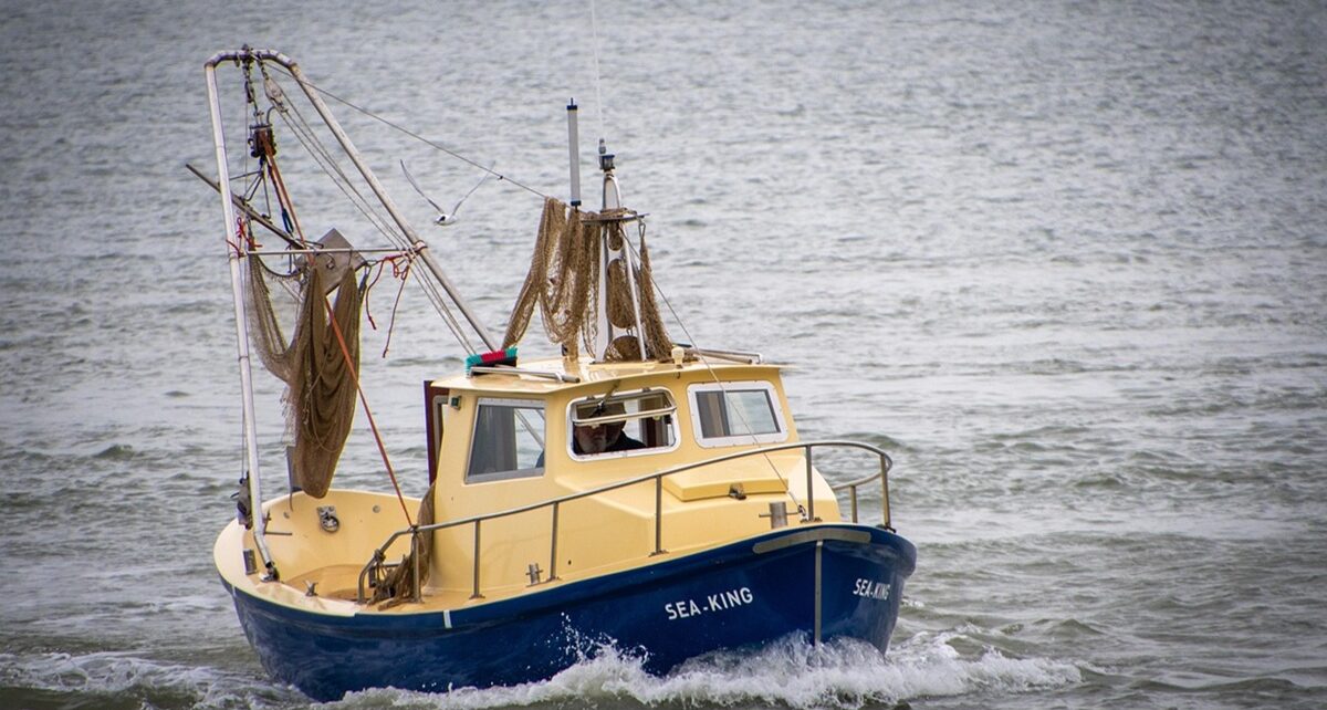 boats ffmc