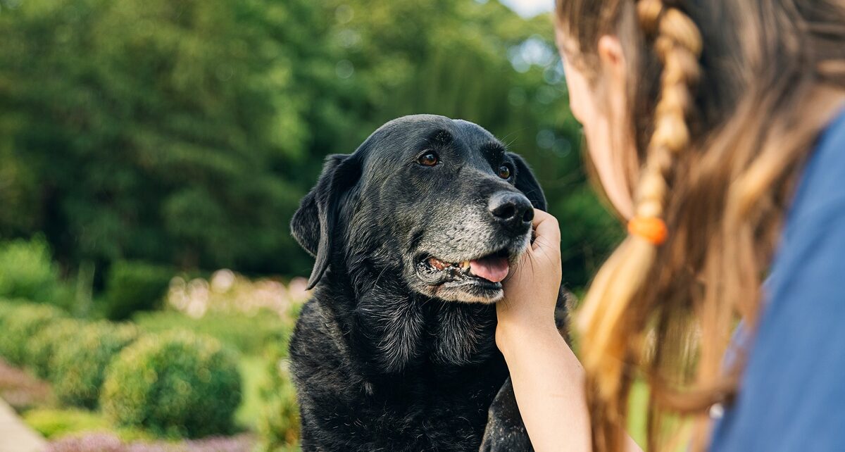 preciouspetitepuppies-412448-woman-dog-black-image1