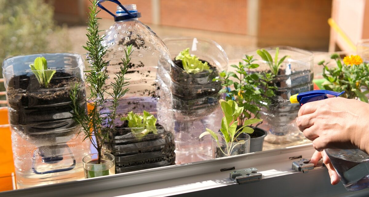 Ways To Repurpose Paper and Plastic Around the House 1 CapitalShredder-413641-Plastic-Jugs-Plants-BlogBanner1