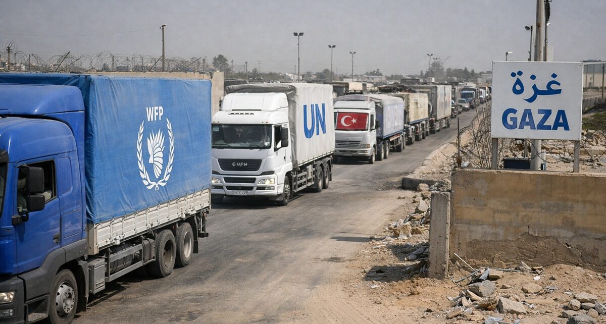 Aid Operations in Gaza at Breaking Point as Restrictions Deepen Humanitarian Collapse 124 gaza, ngo